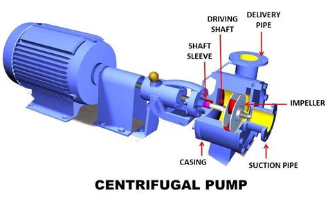 bearing arrangement in centrifugal pump|major parts of centrifugal pump.